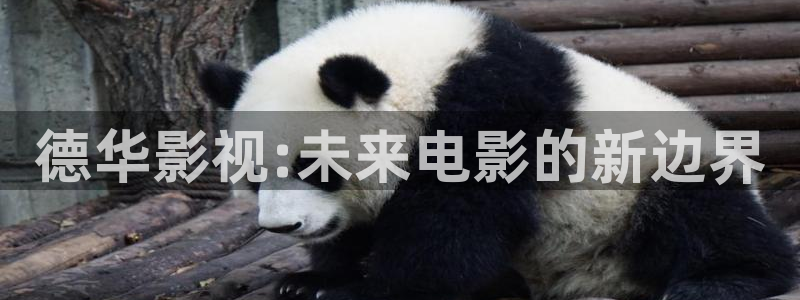 神马影院668影院kh2828狼色